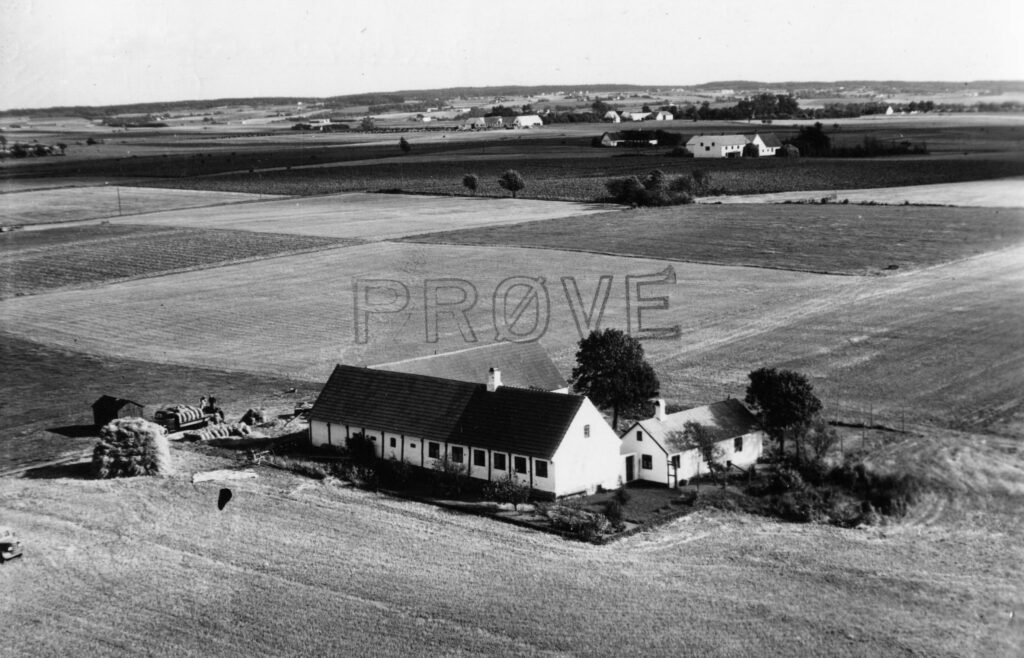 Søndervang 1955 - luftfoto tilh. Kgl. Bibliotek